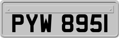 PYW8951