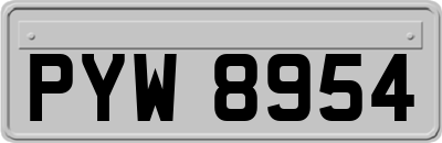 PYW8954