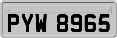 PYW8965