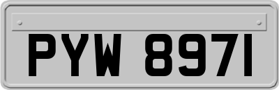 PYW8971