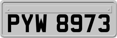 PYW8973