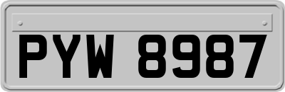 PYW8987