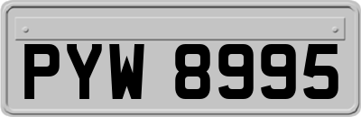 PYW8995