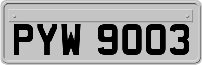 PYW9003