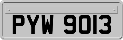 PYW9013