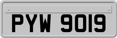 PYW9019