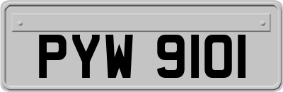 PYW9101