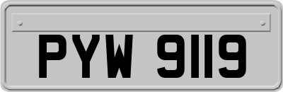PYW9119