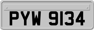 PYW9134