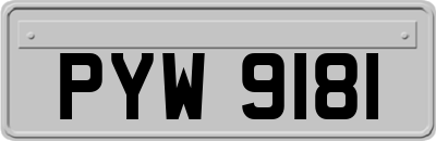 PYW9181