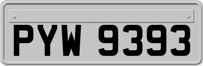 PYW9393