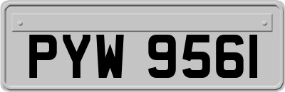 PYW9561
