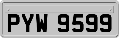 PYW9599