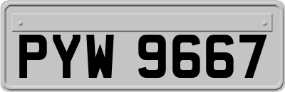 PYW9667