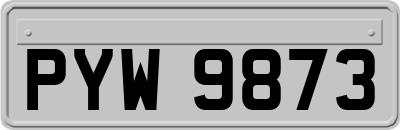 PYW9873