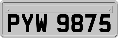 PYW9875