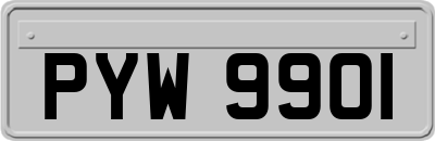 PYW9901