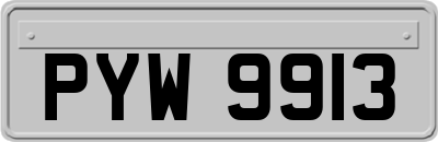 PYW9913