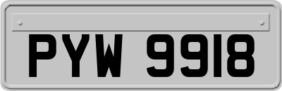 PYW9918