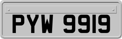 PYW9919