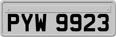 PYW9923