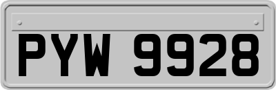 PYW9928