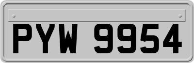 PYW9954