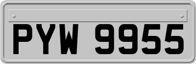 PYW9955