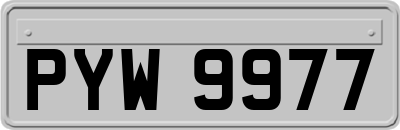 PYW9977