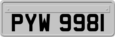 PYW9981