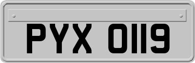 PYX0119