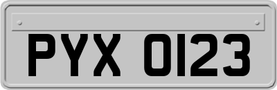 PYX0123