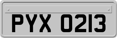 PYX0213