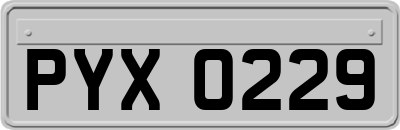 PYX0229