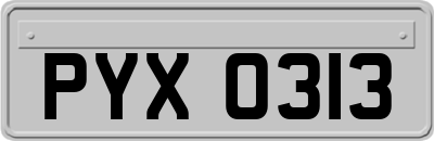 PYX0313
