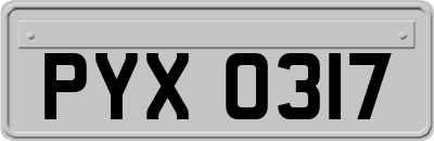 PYX0317