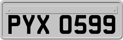 PYX0599