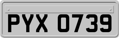 PYX0739