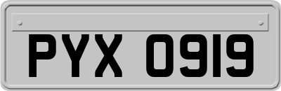 PYX0919
