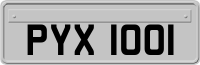 PYX1001