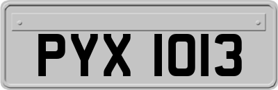 PYX1013