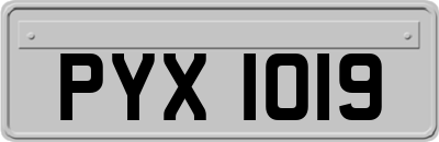 PYX1019