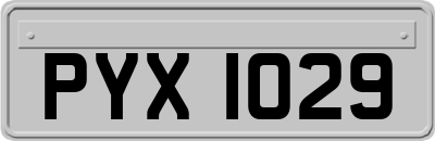PYX1029