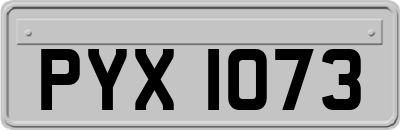 PYX1073