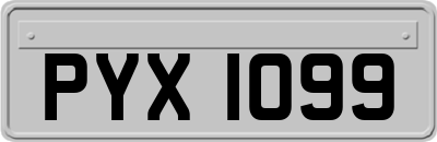 PYX1099