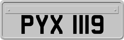 PYX1119