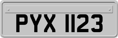 PYX1123