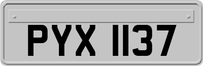 PYX1137