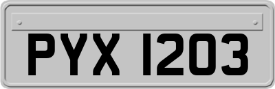 PYX1203