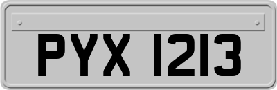 PYX1213